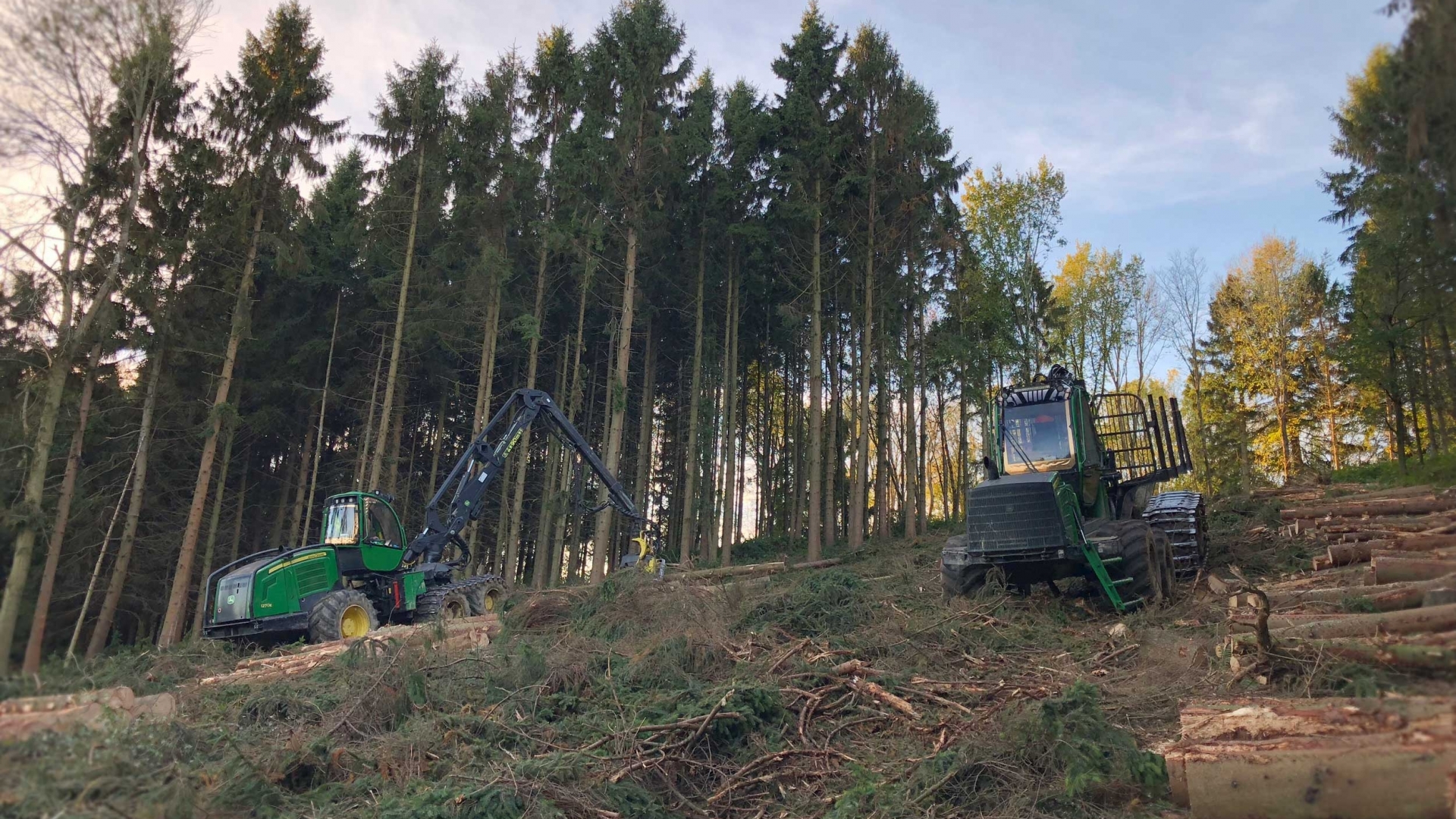 Timber Harvesting | Joe Court Forestry