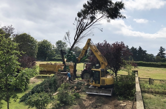 Commercial tree surgery 