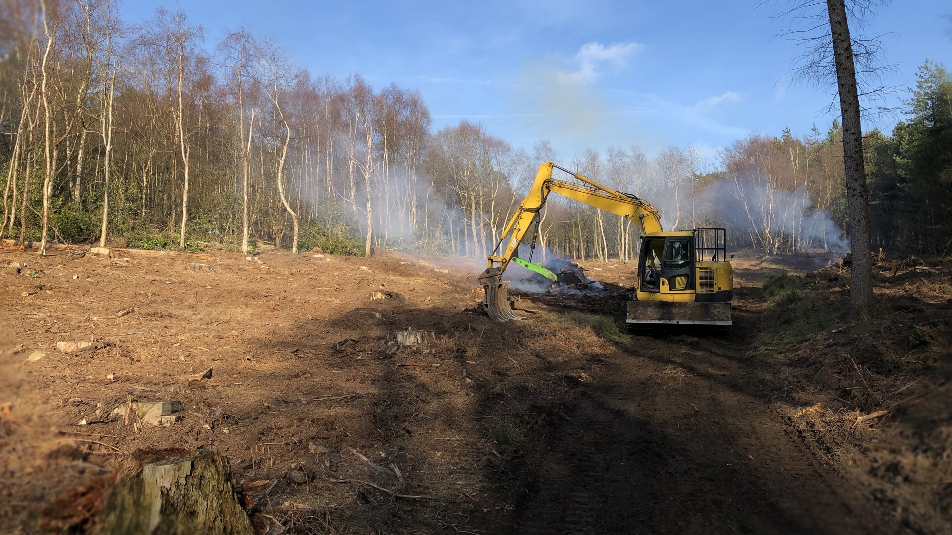 Ground preparation Joe Court Forestry