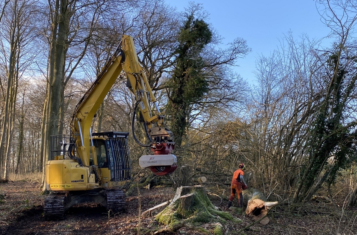 Teamwork making dismantling Ash dieback safe for all. Radio communications are proving vital.