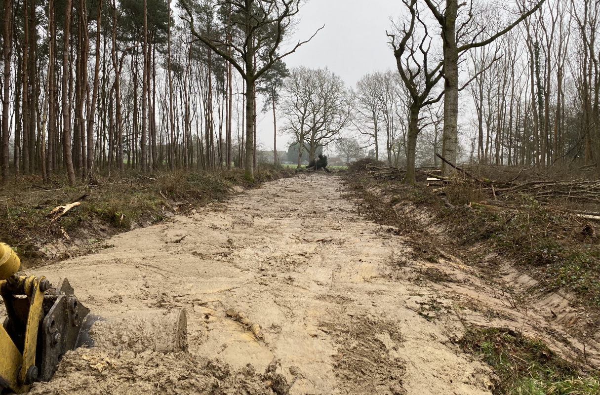 East / West Ride Reinstatement: Opening up habitats for butterfly conservation