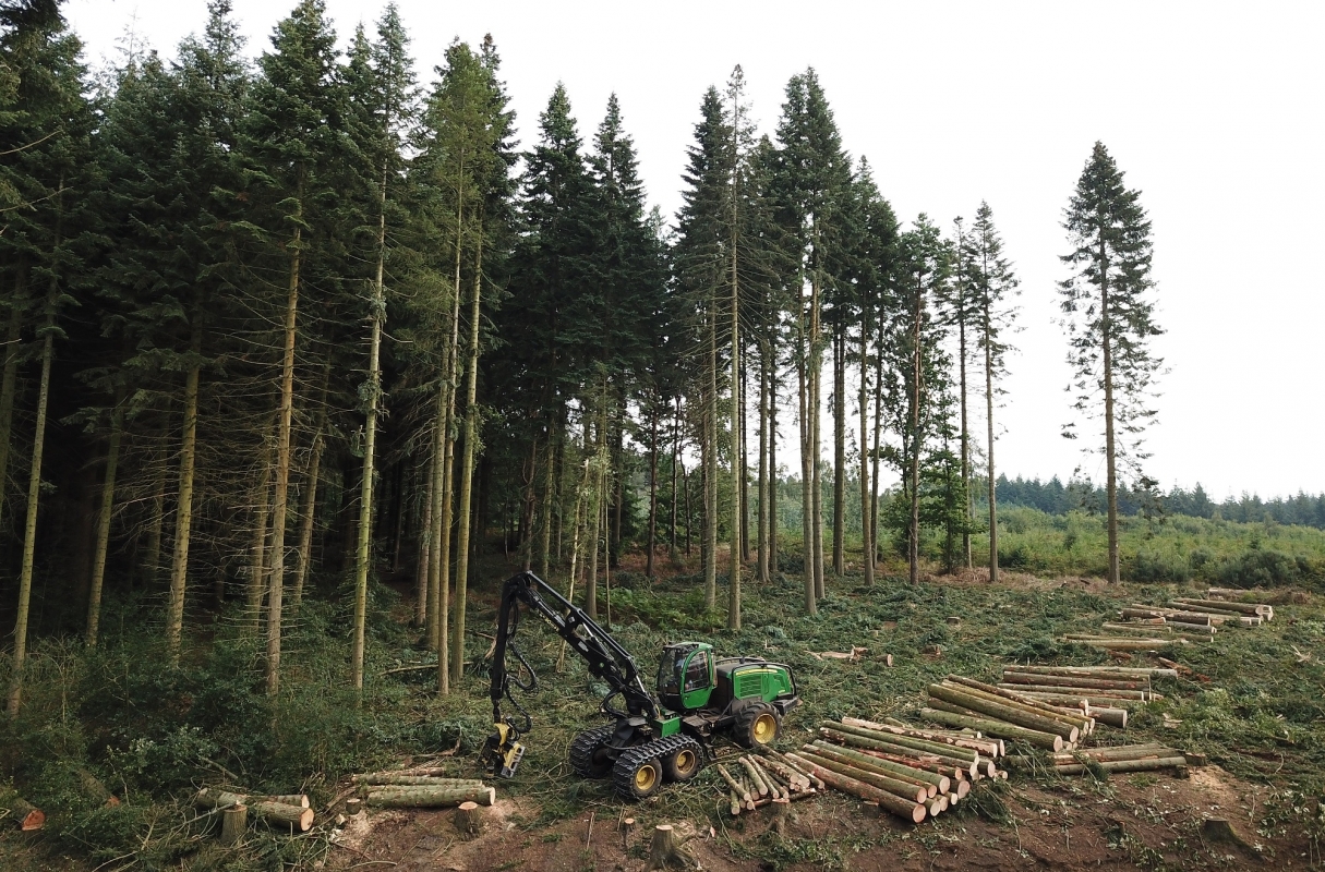 John Deere 1270E resting for a moment in a Surrey clearfell