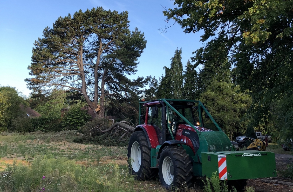 Uniforest remote controlled winch assisting the felling of this unsafe Corsican Pine