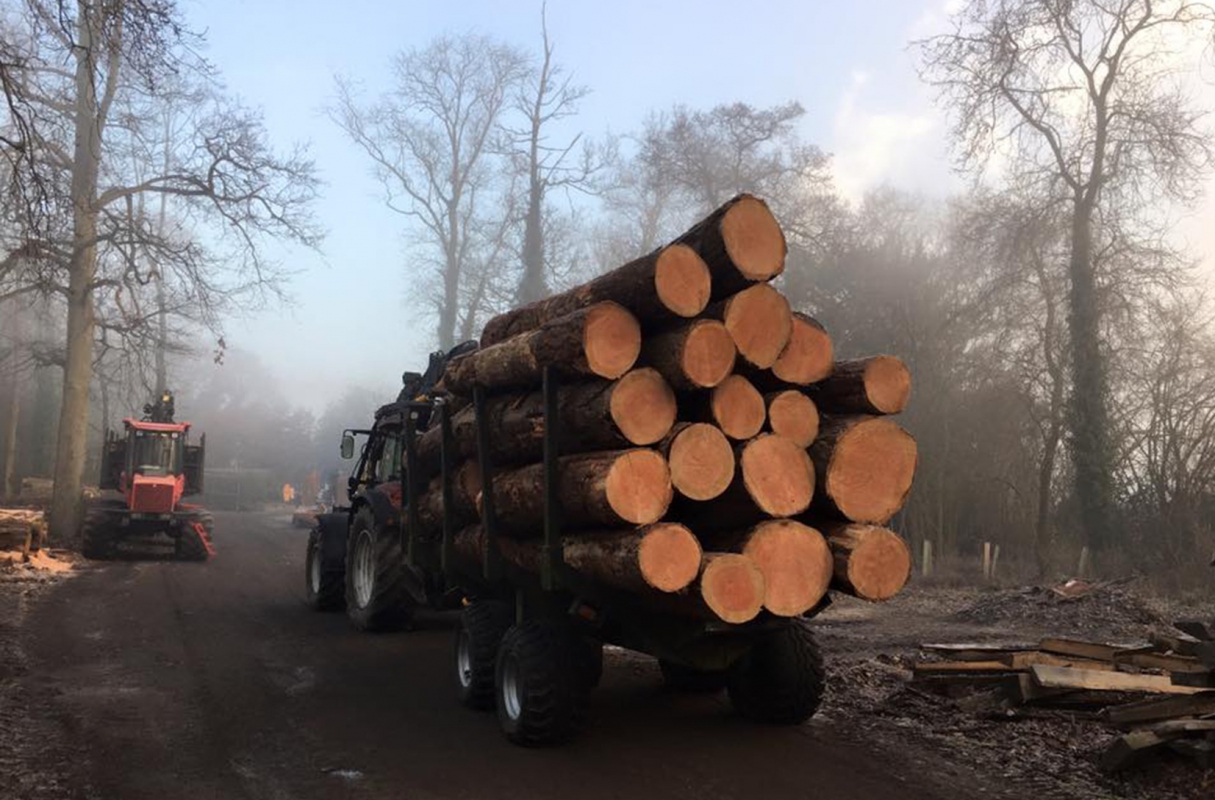 Stunning local Larch timber being brought back to the yard for milling