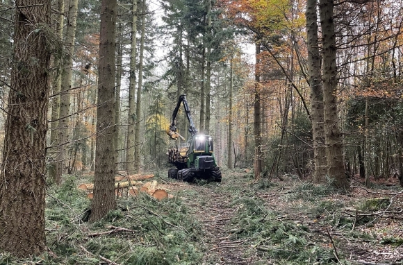 Job Opportunity - Forestry Machine Operator Apprentice