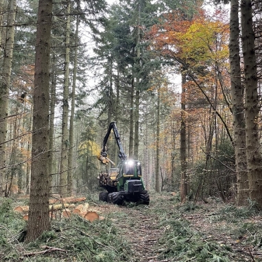 Job Opportunity - Forestry Machine Operator Apprentice