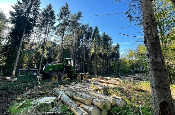 Thoughts from The Wood - July